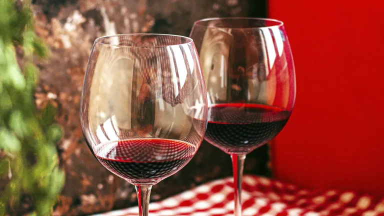 Lambrusco: an In-Depth Wine Profile
