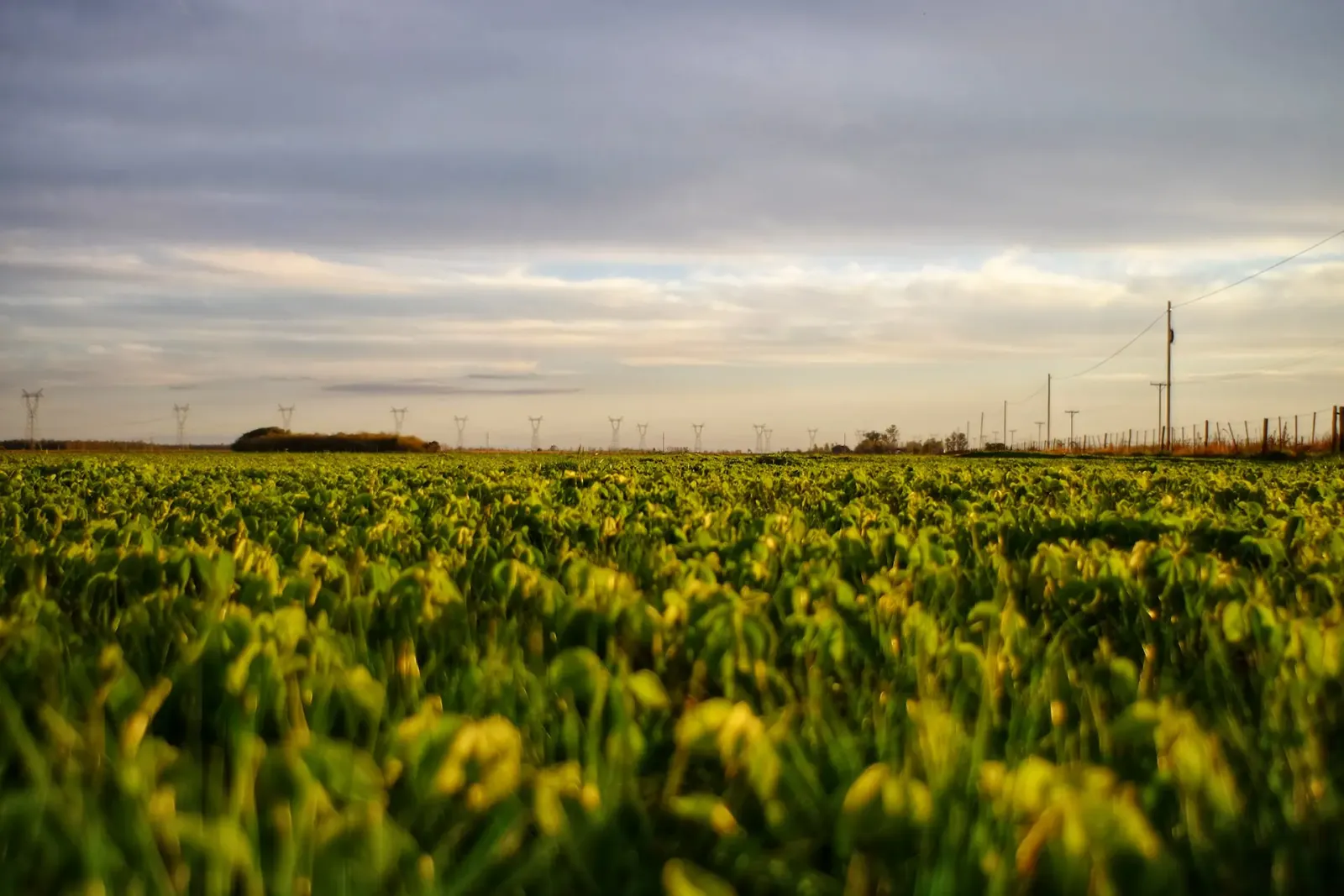 La Pampa