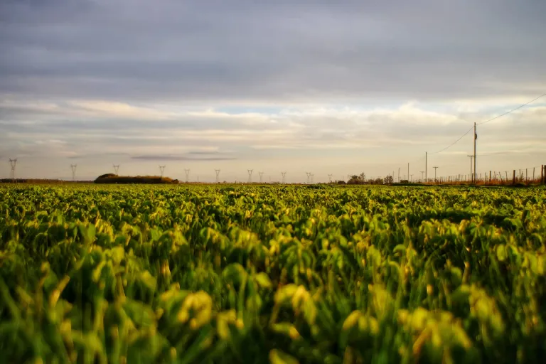 La Pampa
