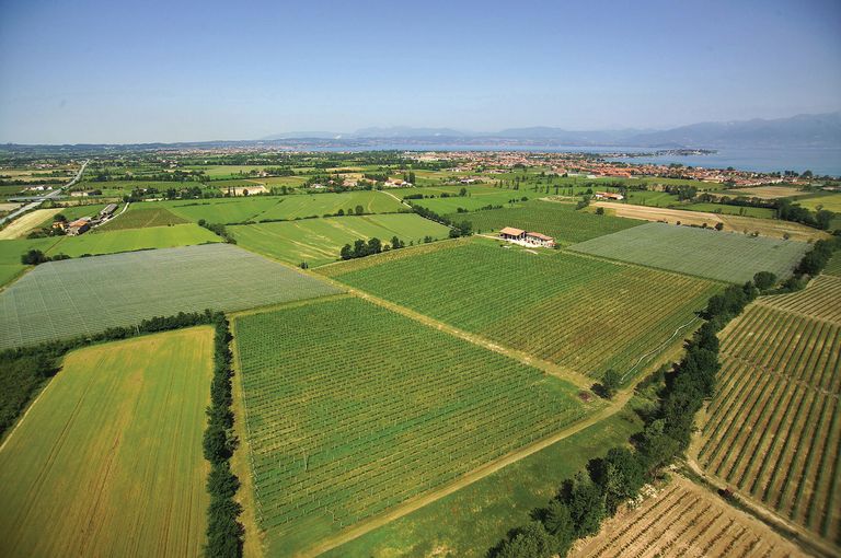 Lugana (Veneto)