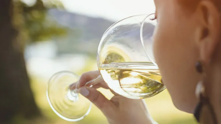 Macabeo Wine: Discover Its Unique Flavors and Characteristics