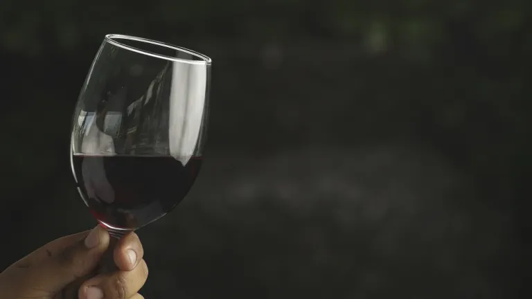 Malbec: In-Depth Wine Profile