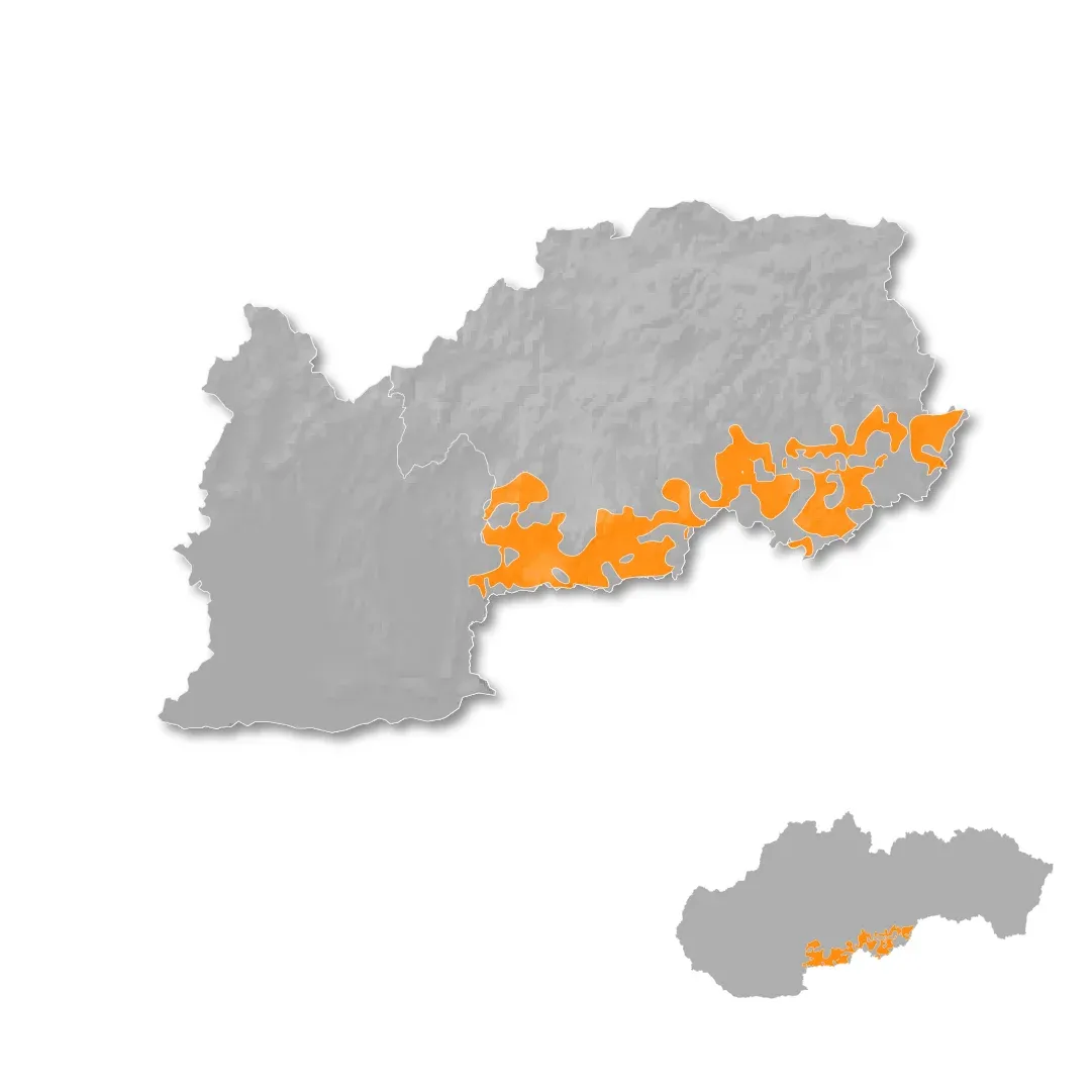 Central Slovakia wine regions map