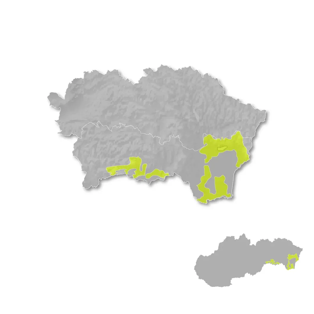 East Slovakia wine regions map
