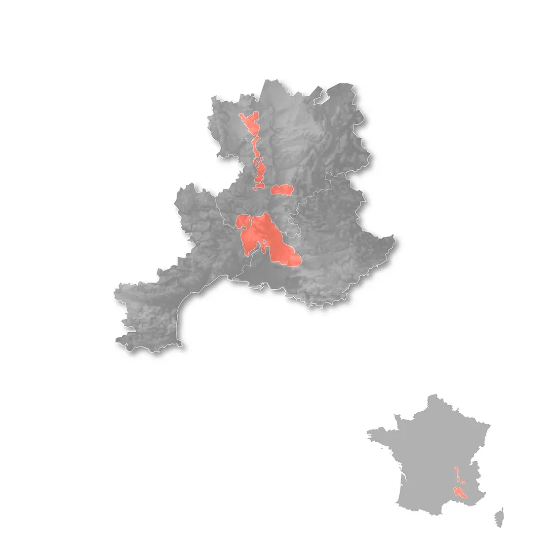 Rhône Valley wine regions map
