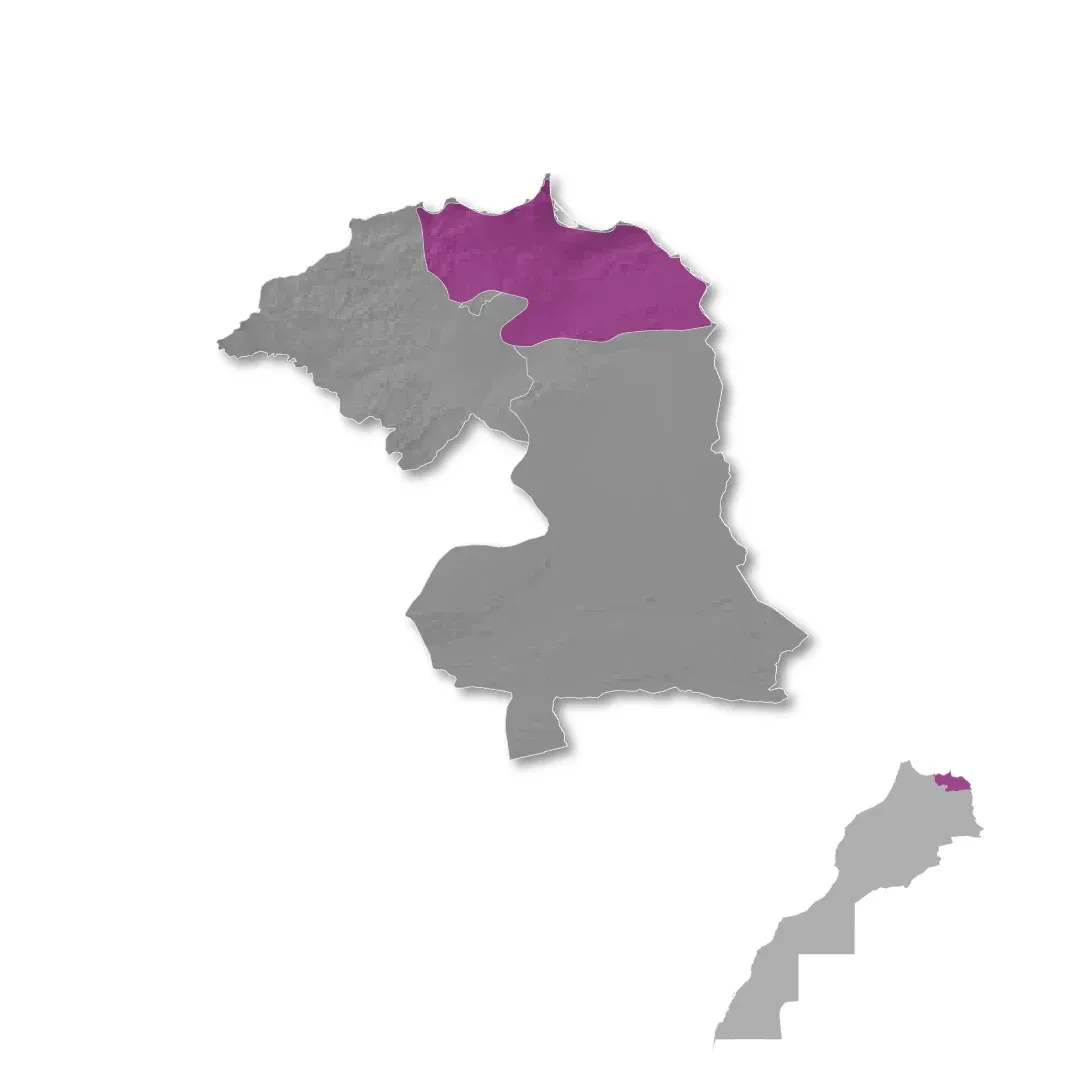 Eastern Morocco wine regions map