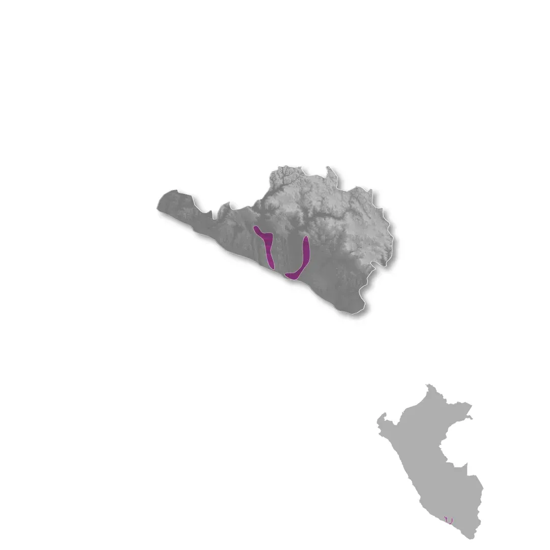 Arequipa wine regions map
