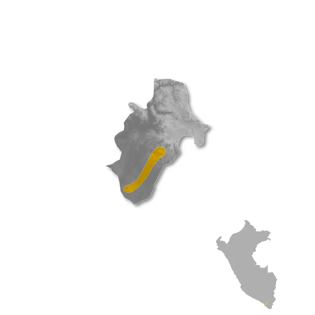 Moquegua wine regions map