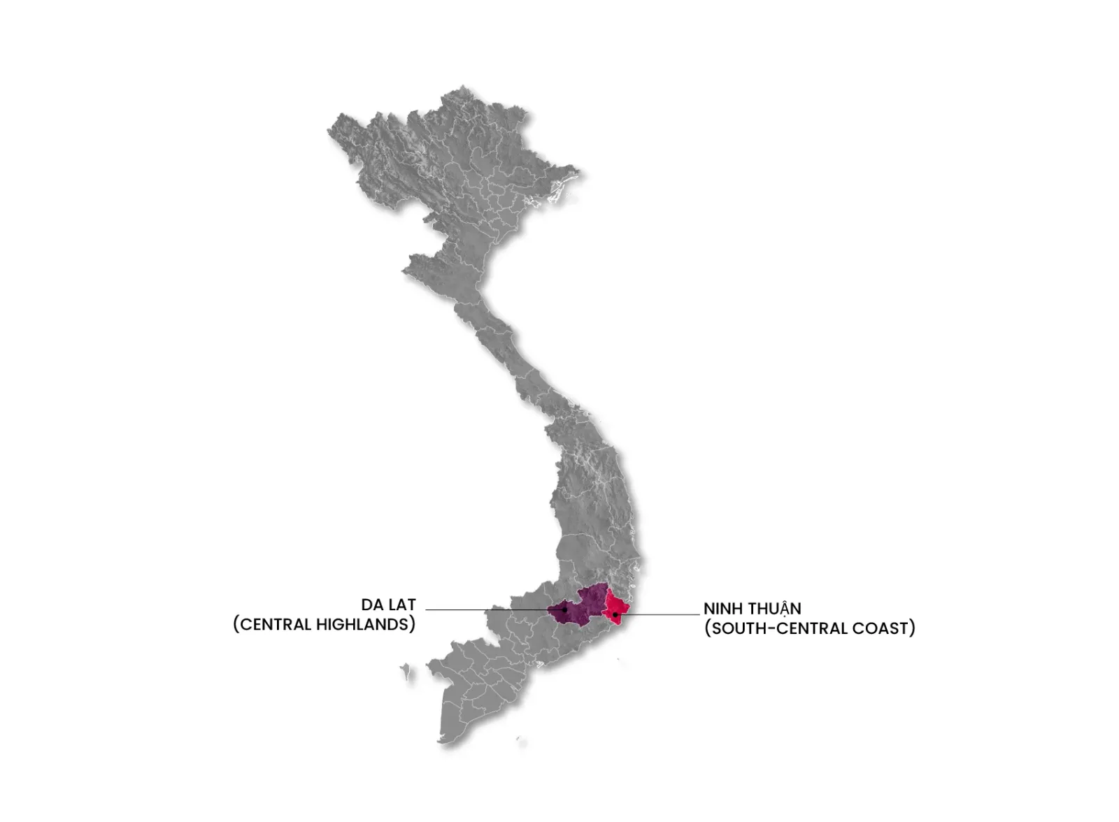 Vietnam wine regions map