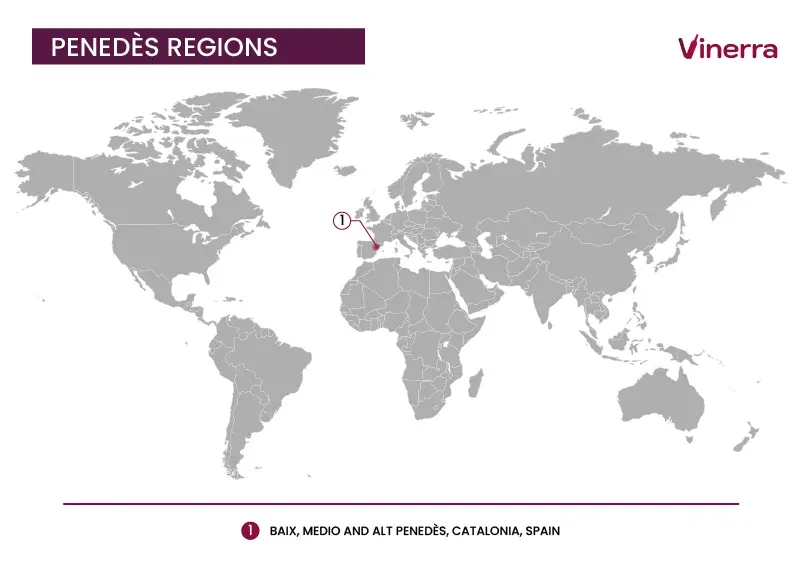 Main Regions Where Penedès Wine is Produced