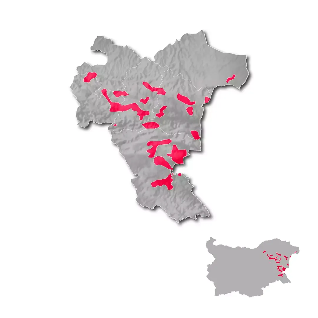 Black Sea Coast  wine regions map