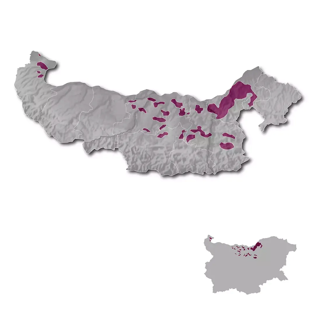 Danubian Plain wine regions map