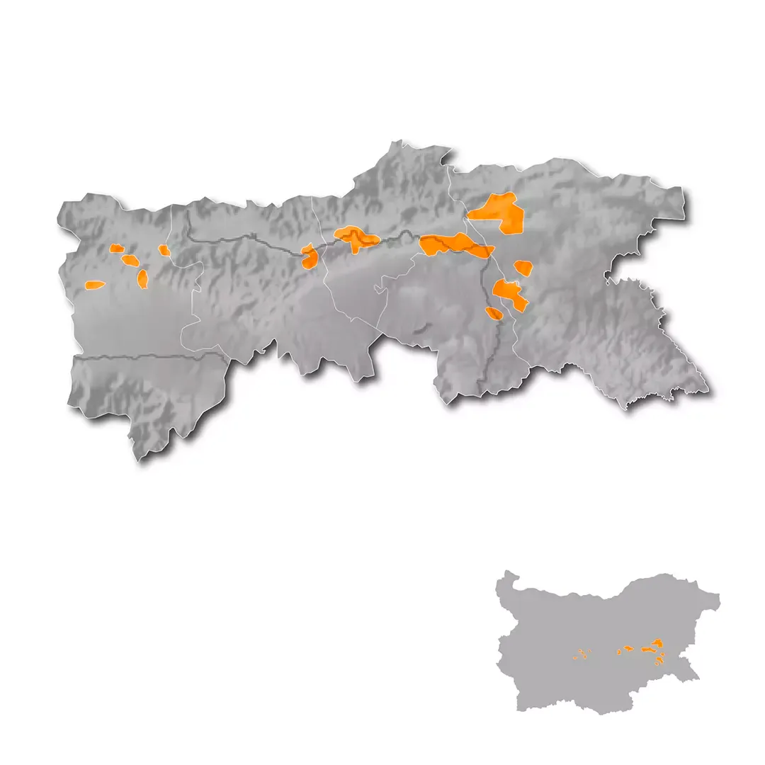 Rose Valley  wine regions map