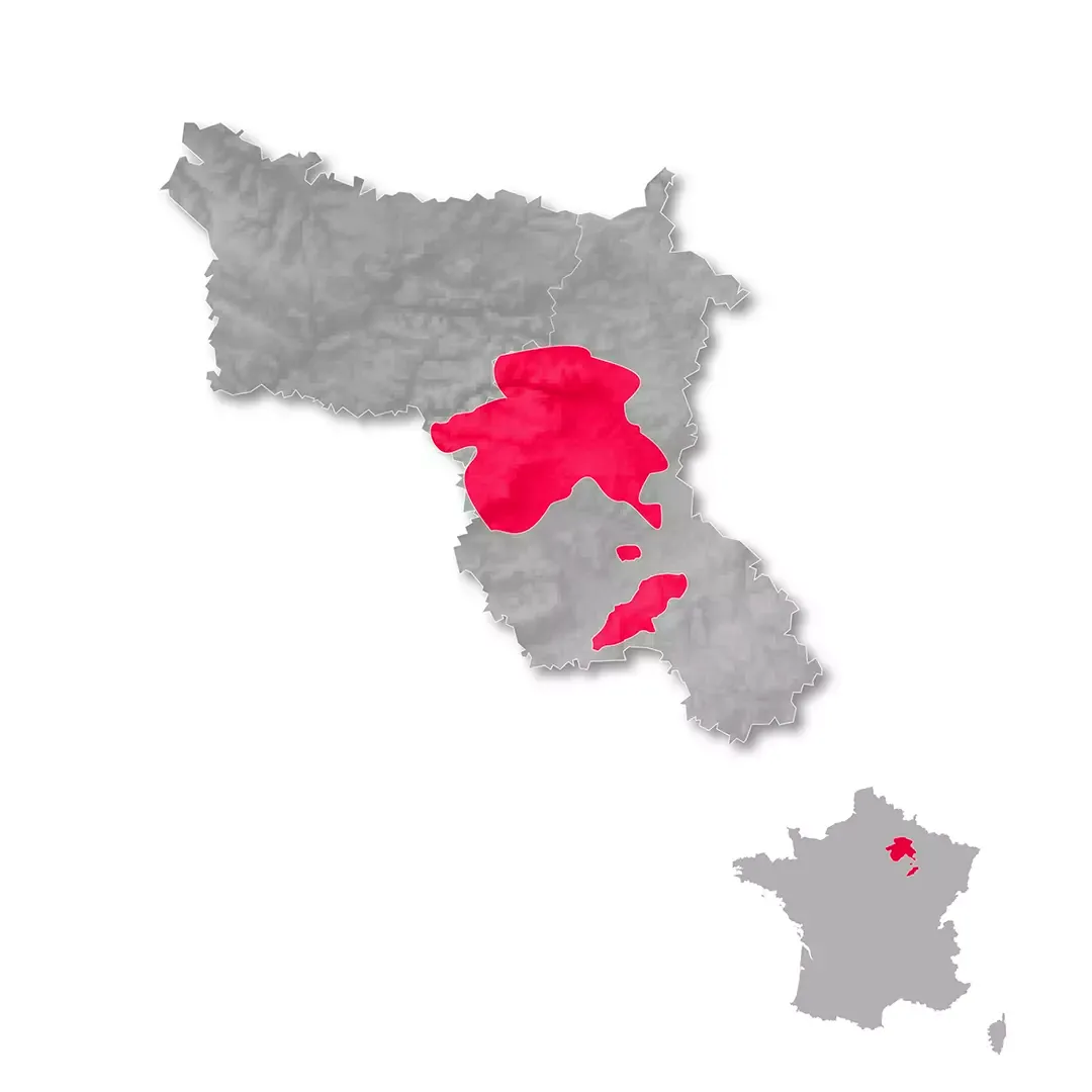 Champagne wine regions map