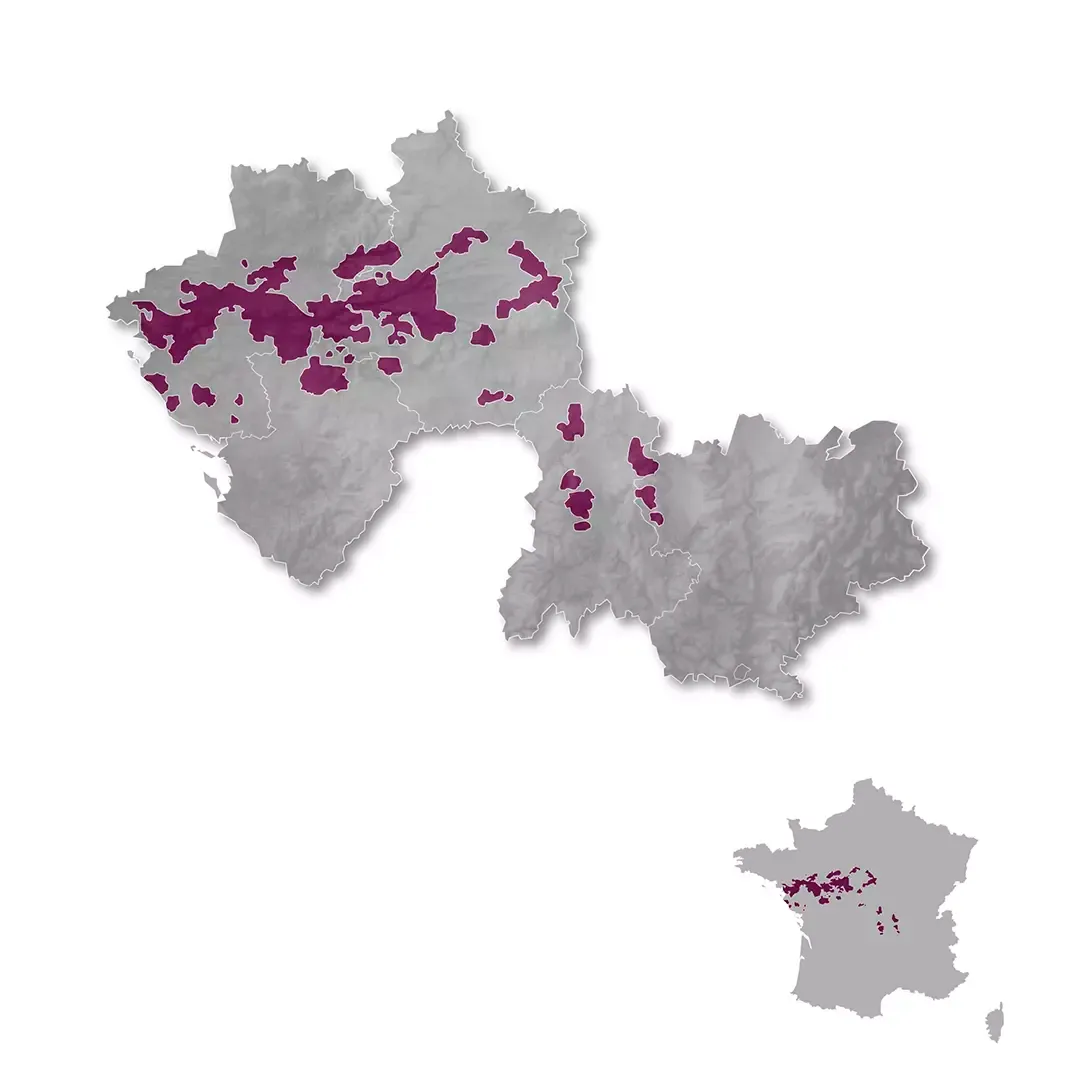 Loire Valley wine regions map