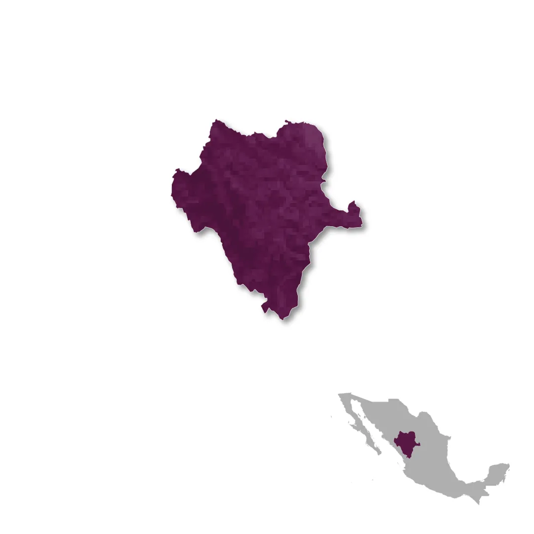 Durango wine regions map