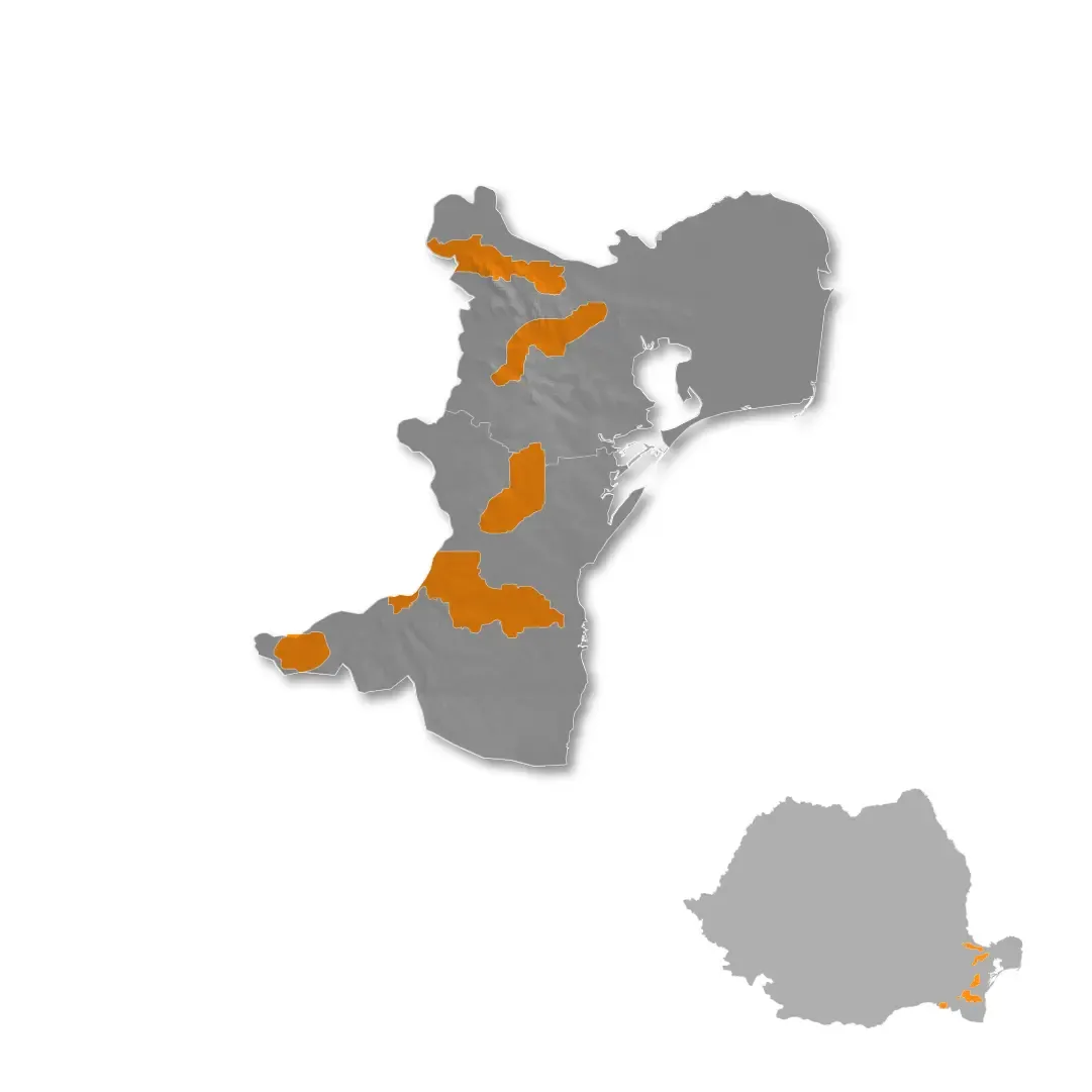 Dobrogea wine regions map