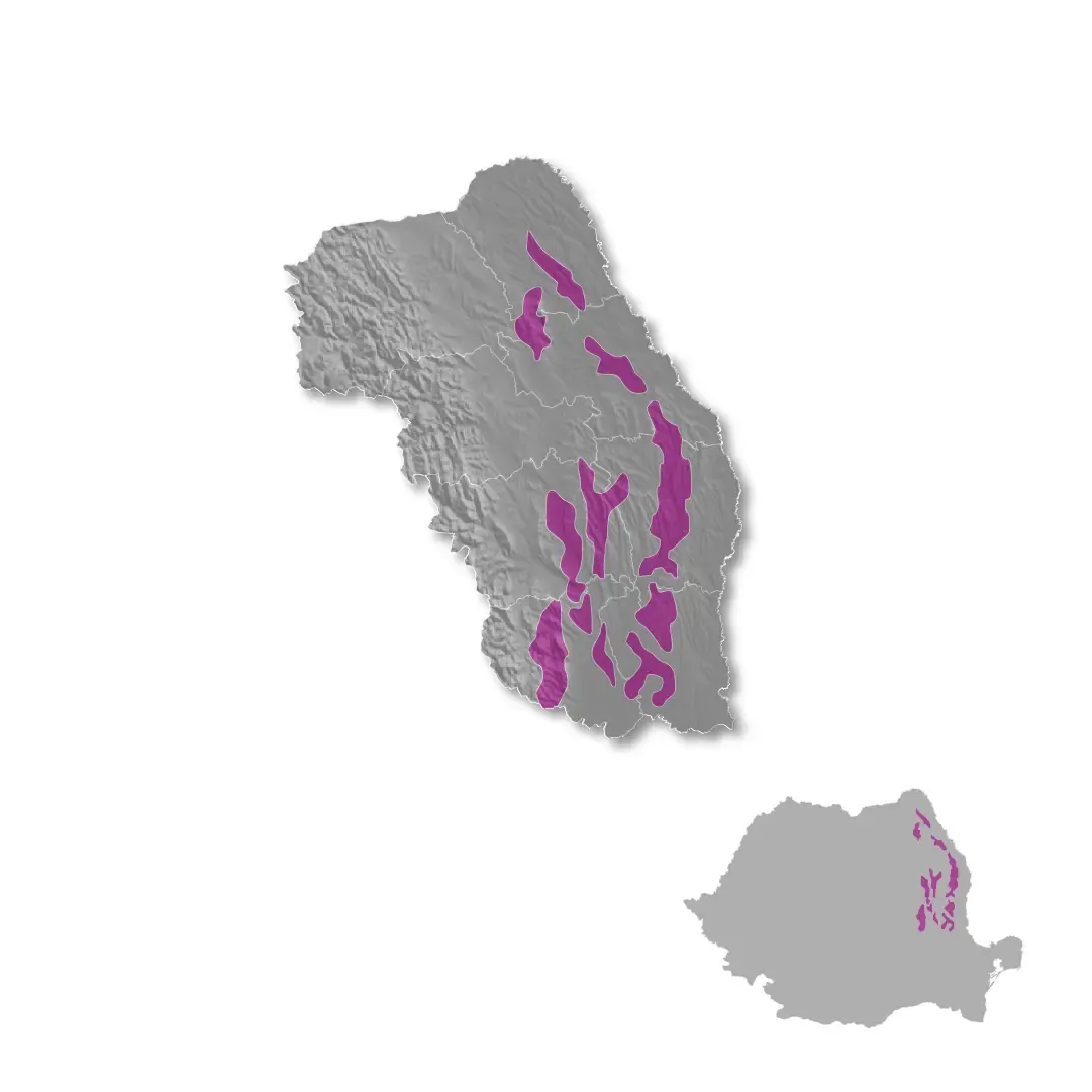 Moldova wine regions map