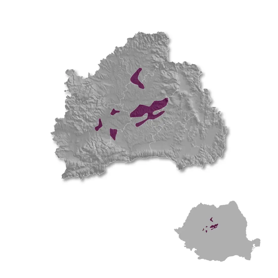 Transylvania Wine Region wine regions map