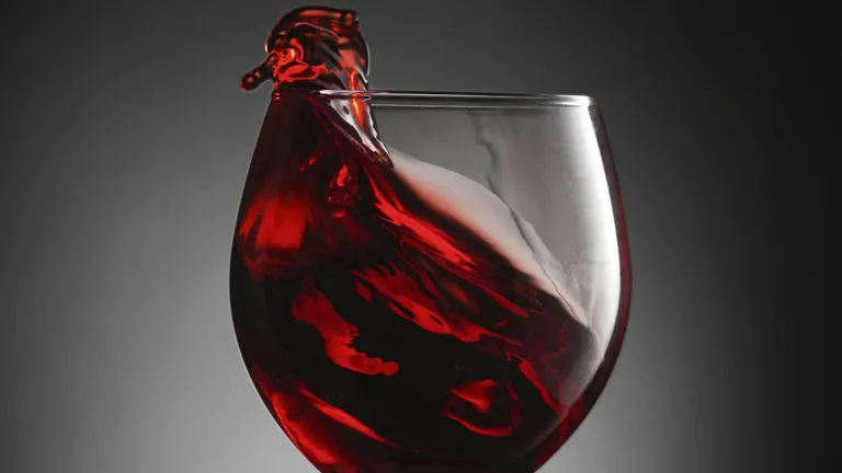 Mencía: an In-Depth Wine Profile