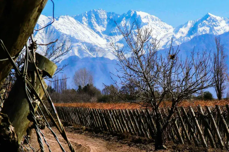 Mendoza