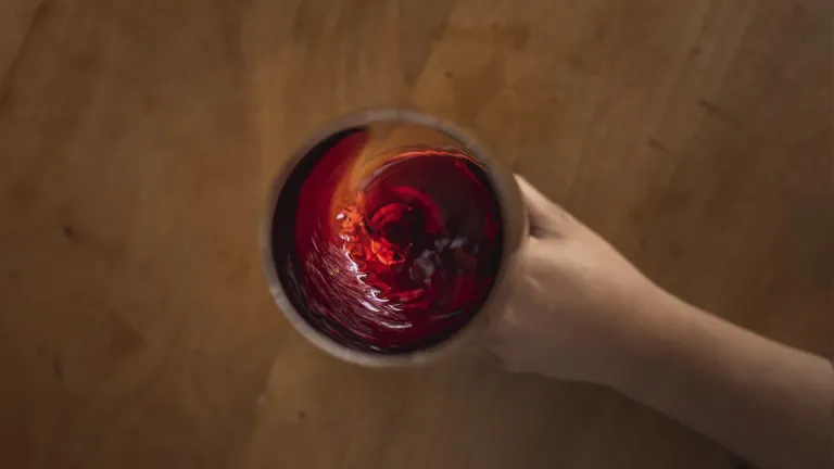 Merlot: In-Depth Wine Profile