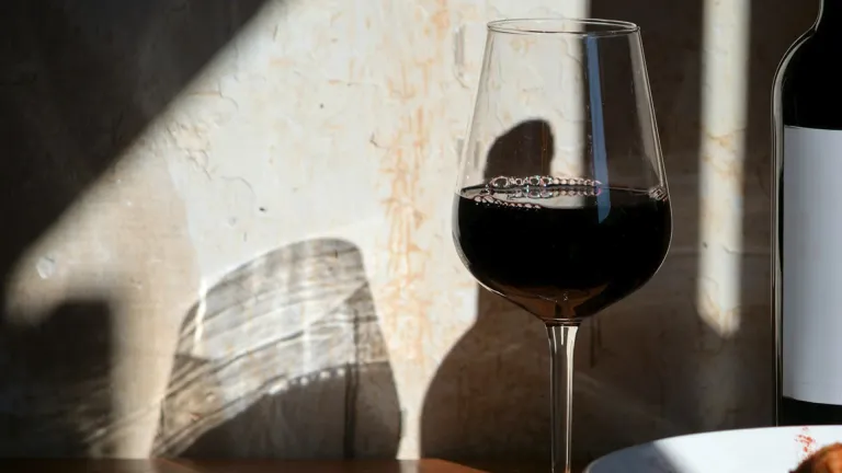 Montepulciano: An In-Depth Wine Profile