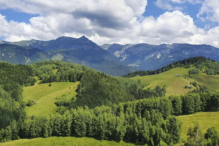 Muntenia-Oltenia