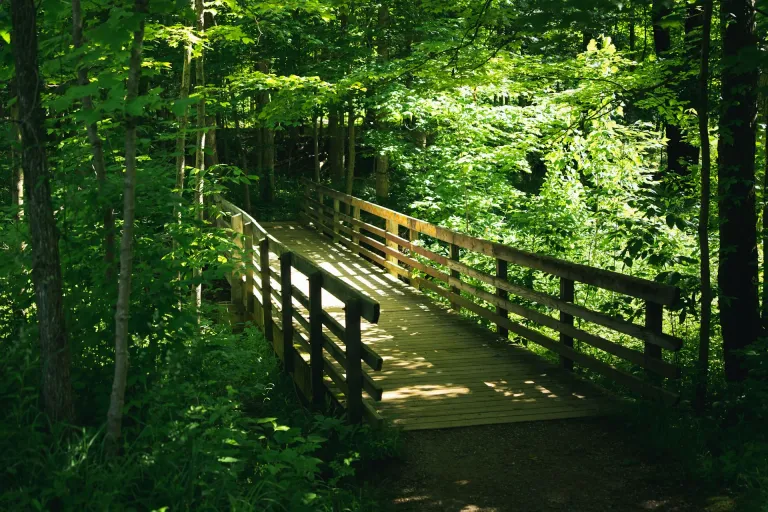Ohio River Valley AVA (Kentucky)
