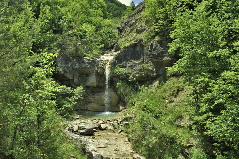 Ortrugo dei Colli Piacentini