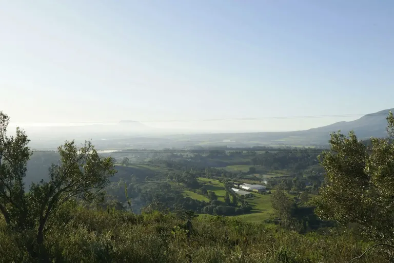 Paarl