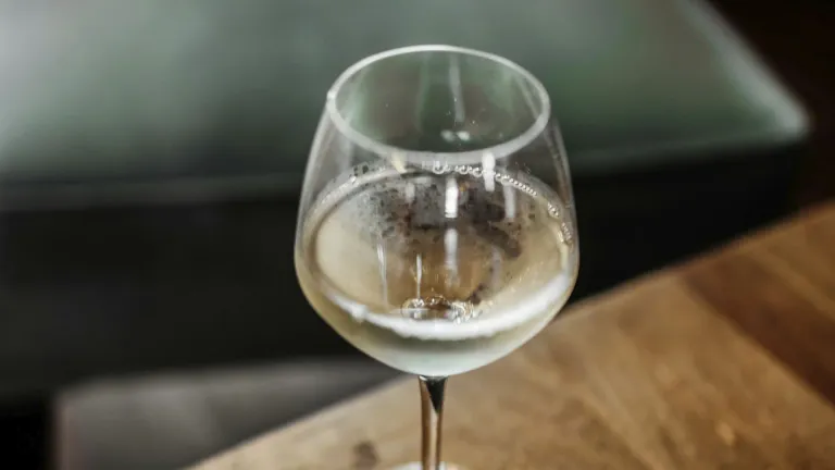 Palomino: an In-Depth Wine Profile