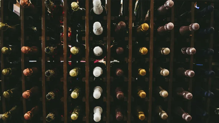 The Wines of Penedès: A Comprehensive Guide
