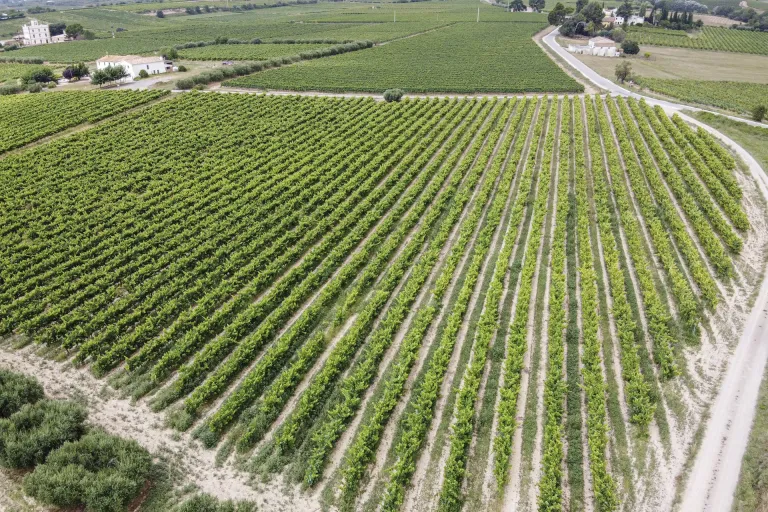 Penedès