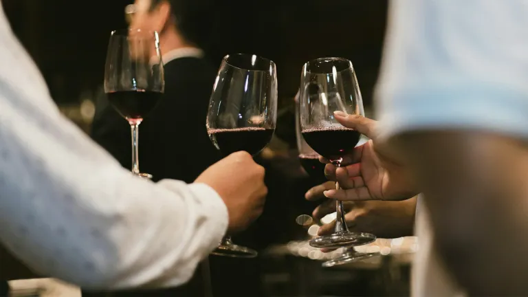 Petit Verdot: An In-Depth Wine Profile