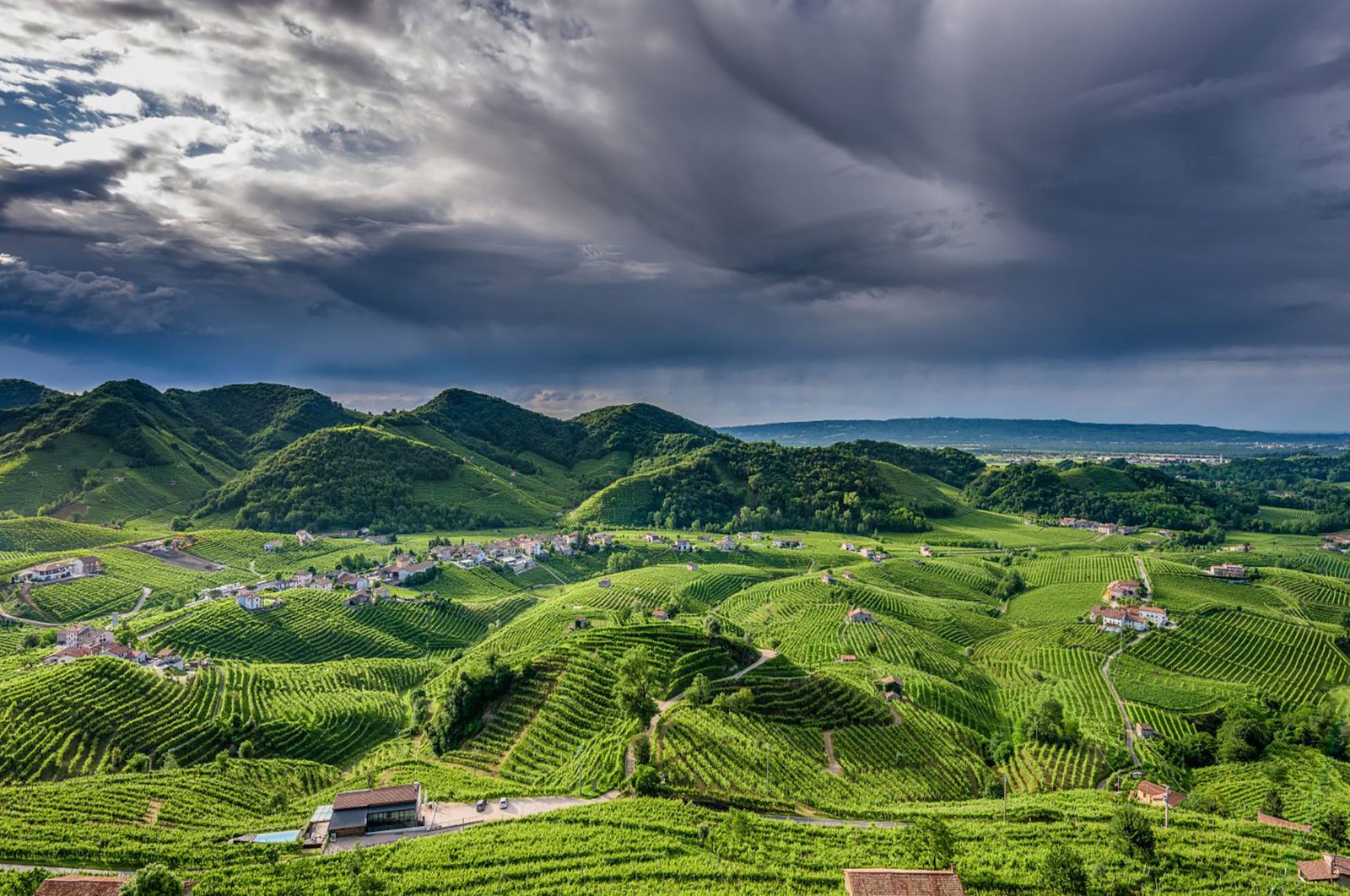 Prosecco (Veneto)