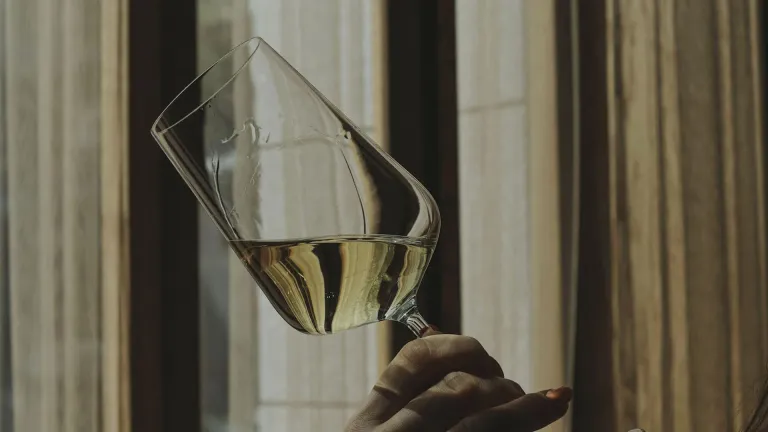 Vin Jaune: An In-Depth Profile of this Wine Treasure