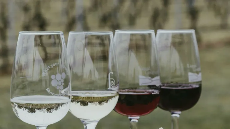 Rioja: an In-Depth Wine Profile
