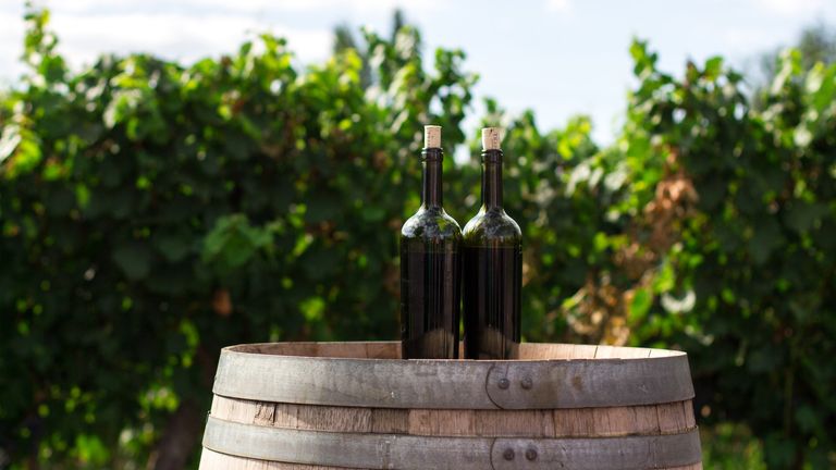 Wine Branding | How to develop a wine brand