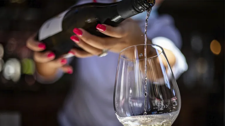 Sauvignon Blanc: In-Depth Wine Profile