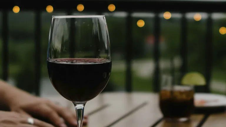 Amarone della Valpolicella: an In-Depth Wine Profile