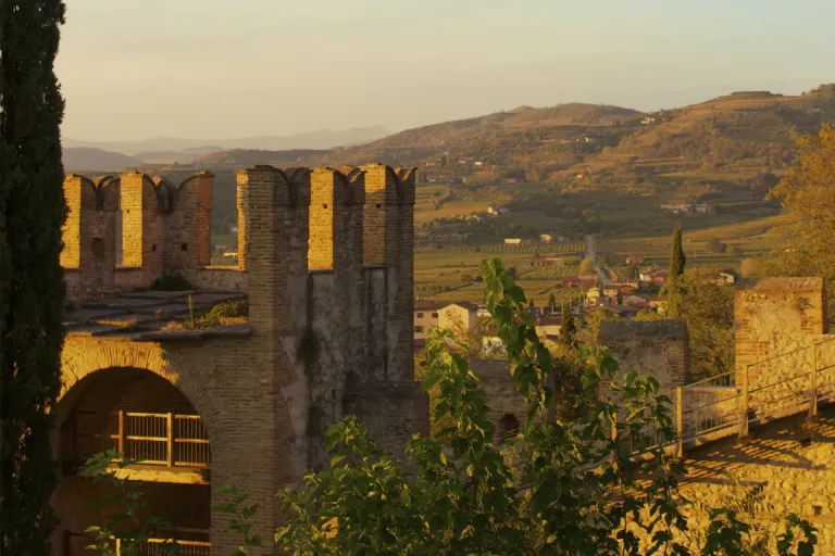 Soave Superiore