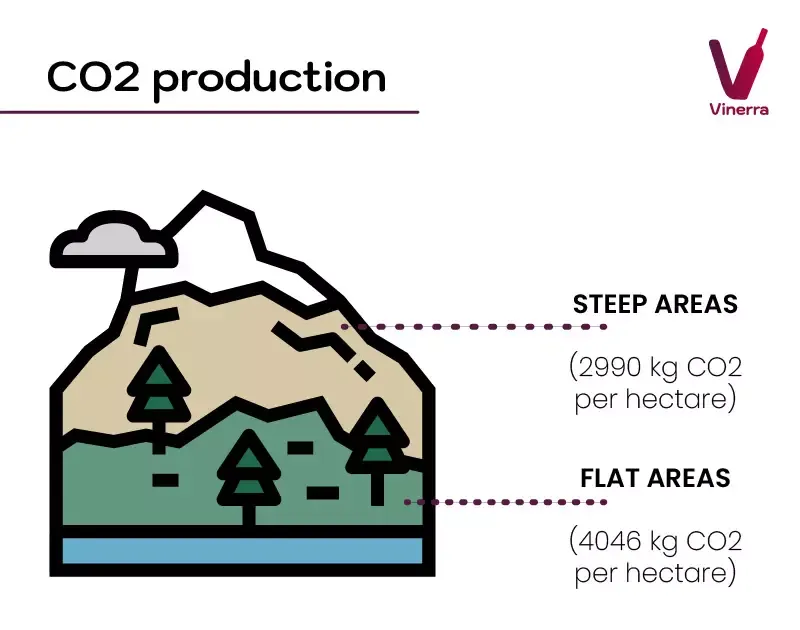 CO2 production