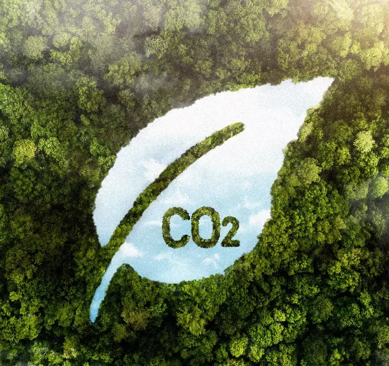 Carbon Managment