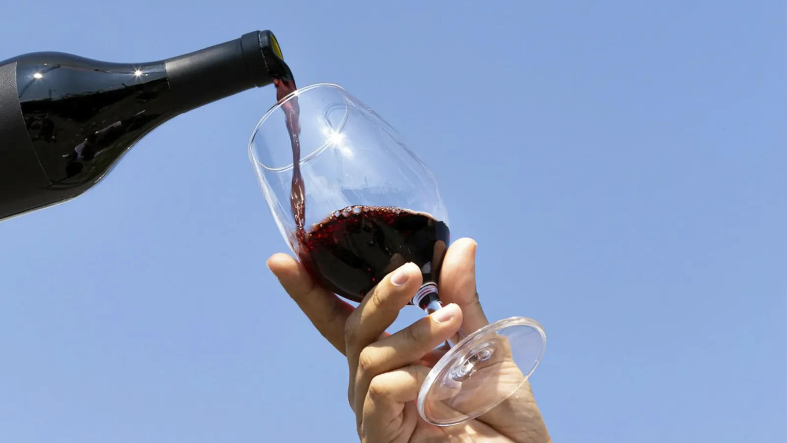 Tempranillo: an In-Depth Wine Profile