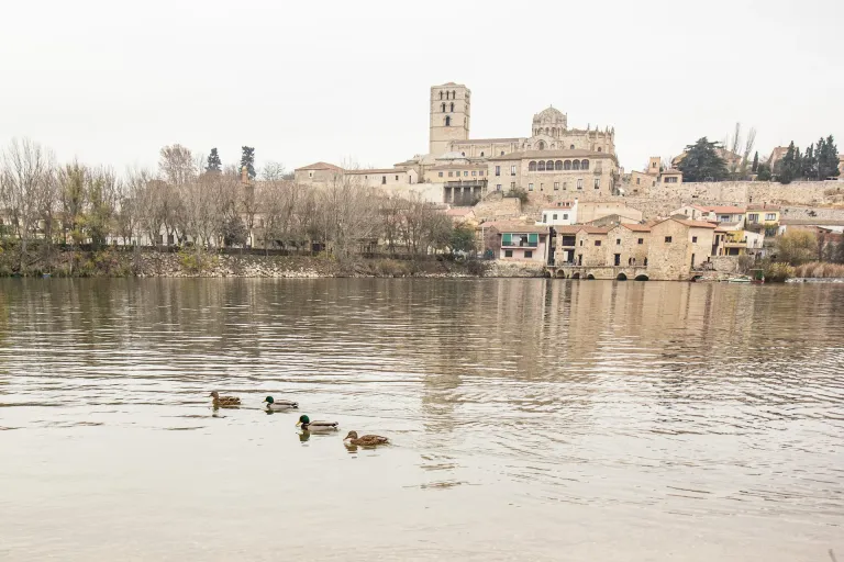 Tierra del Vino de Zamora