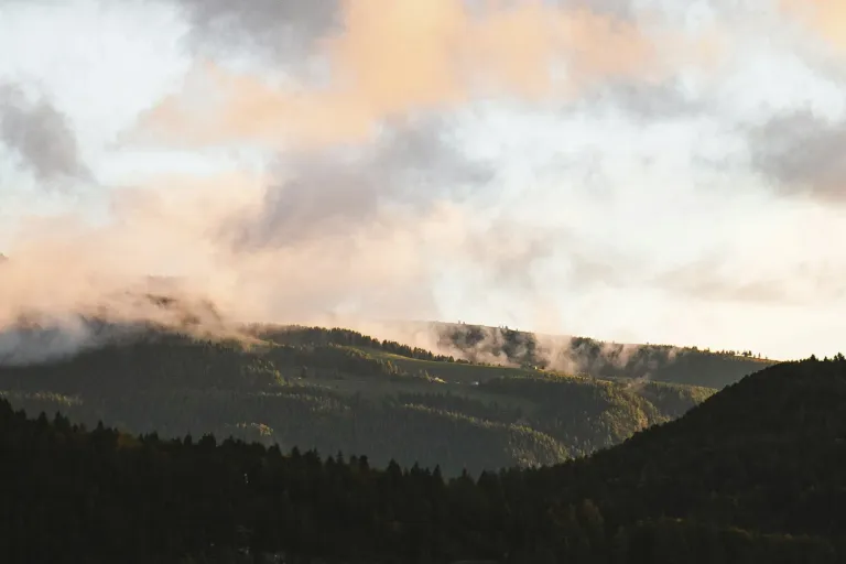 Trentino