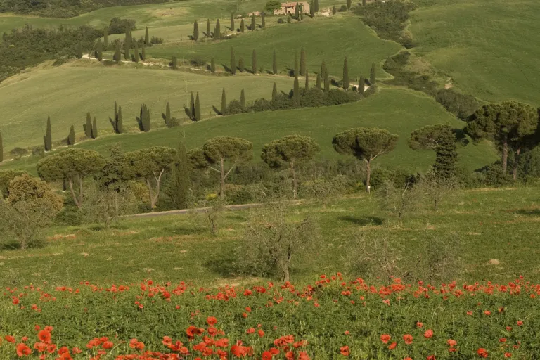 Val di Cornia