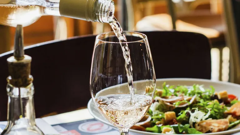 Txakoli: an In-Depth Wine Profile
