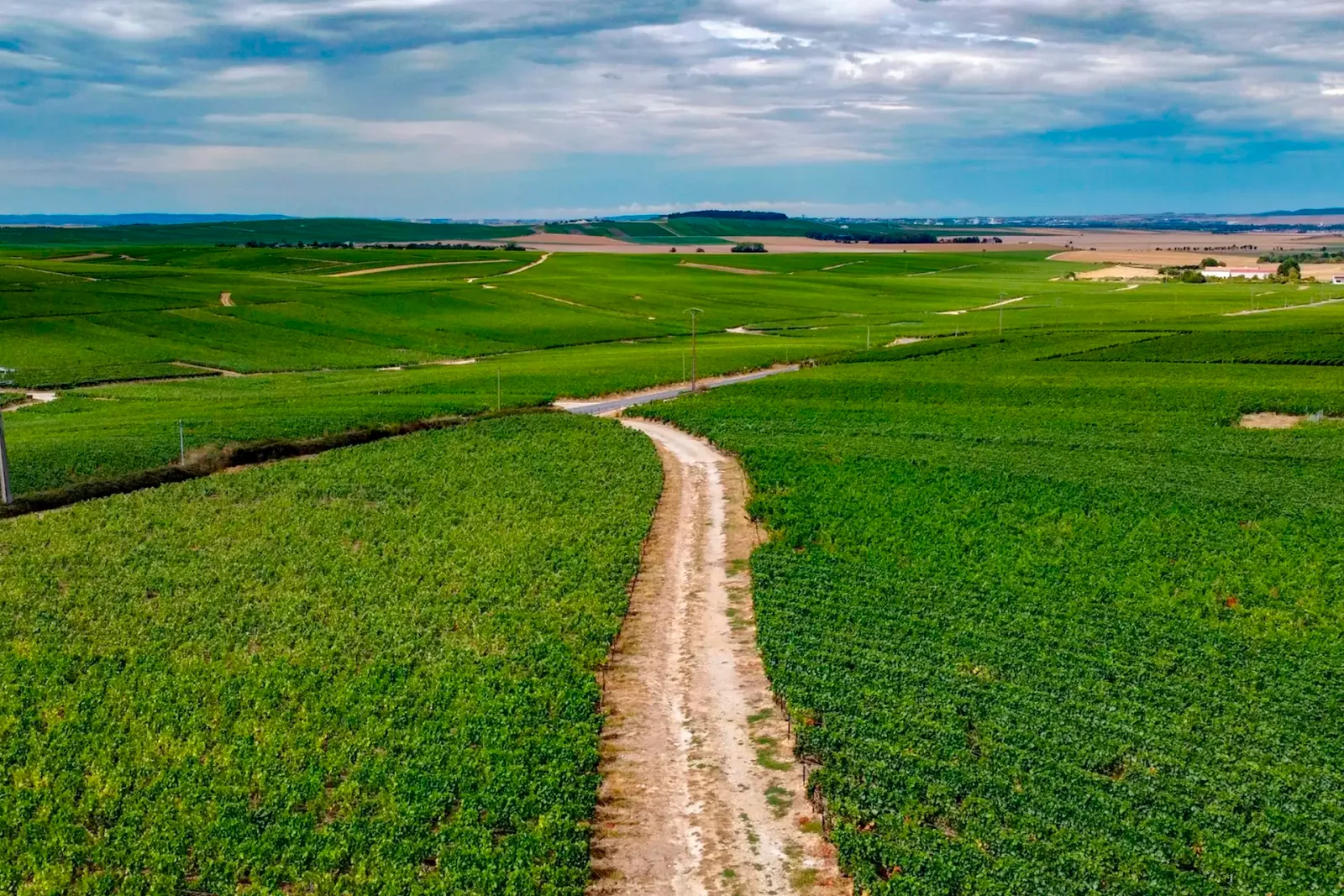 Vallée de la Marne